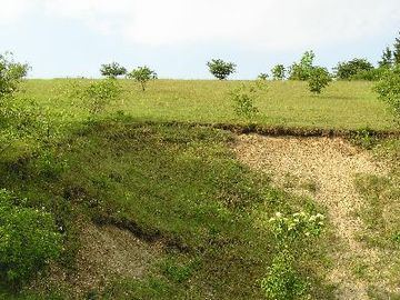 Halbtrockenrasen bei Irmenseul