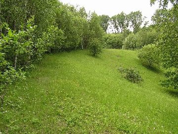 Foto aus dem Naturschutzgebiet Bockmerholz Gaim