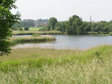 Wätzumer Tonkuhle