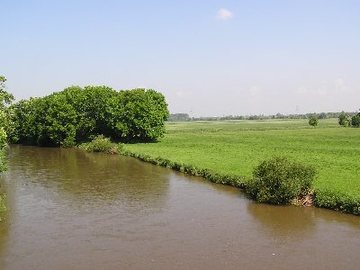 Leineaue zwischen Ruthe und Koldingen