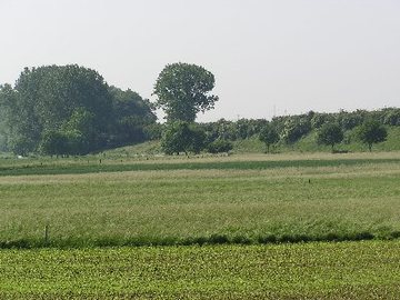 Leineaue zwischen Ruthe und Koldingen