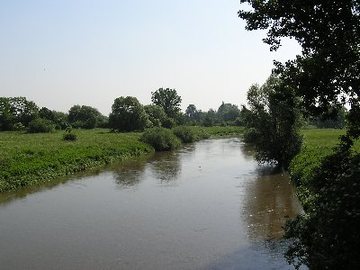 Leineaue zwischen Ruthe und Koldingen