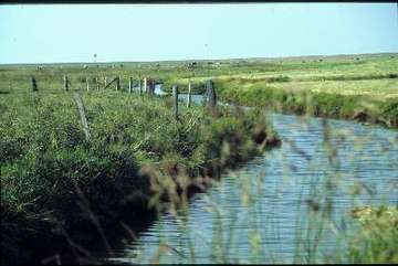 Wildvogelreservat Nordkehdingen