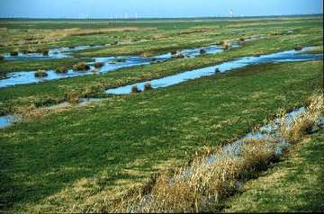 Wildvogelreservat Nordkehdingen