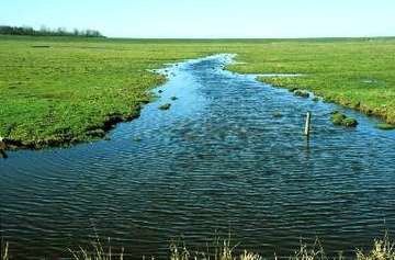 Wildvogelreservat Nordkehdingen