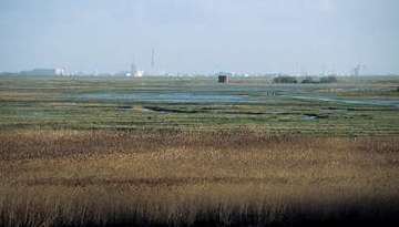 Wildvogelreservat Nordkehdingen