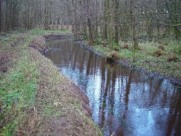 Foto aus dem Naturschutzgebiet Tal der Kleinen Örtze