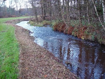 Foto aus dem Naturschutzgebiet Tal der Kleinen Örtze