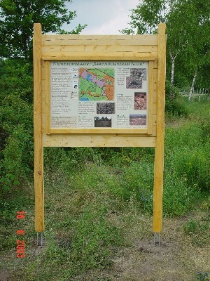 Foto aus dem Naturschutzgebiet Sandtrockenrasen Achim