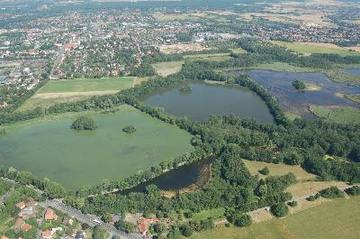 Nördliche Hälfte des FFH-Gebiets "Riddagshäuser Teiche" bei Gliesmarode