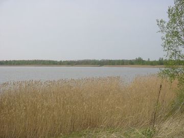 Heerter See und Waldgebiet Heerter Strauchholz