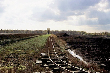 Foto aus dem Naturschutzgebiet Großes Moor bei Gifhorn