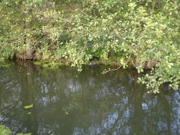 neuer Ohrelauf mit zufließendem Hangdruckwasser