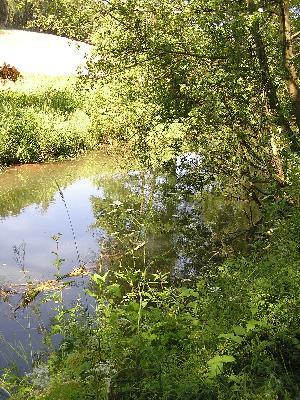 Rhumeaue/ Ellerniederung/ Gillersheimer Bachtal