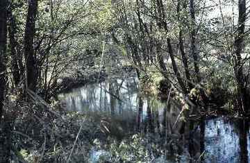 Rhumeaue/ Ellerniederung/ Gillersheimer Bachtal