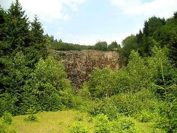 Steinbruch mit vorgelagertem Erlen-Bruchwald