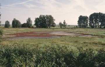 Salzwiese Barnstorf