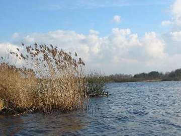 NSG "Ahlen-Falkenberger Moor, Halemer/Dahlemer See": Der Halemer See