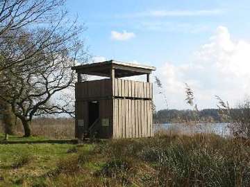 NSG "Ahlen-Falkenberger Moor, Halemer/Dahlemer See" Aussichtsturm am Halemer See