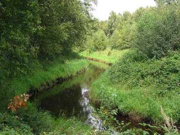 Wildes Moor bei Stinstedt