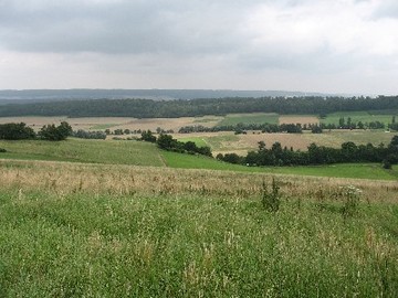 Ithwiesen