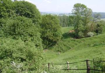 Gipskarstlandschaft bei Ührde