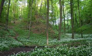 Gipskarstlandschaft bei Ührde