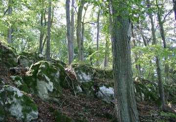 Gipskarstlandschaft bei Ührde