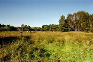 Foto aus dem Naturschutzgebiet "Niederungsbereich Oerrelbach"