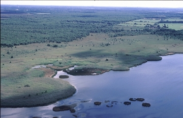 Ostufer Steinhuder Meer