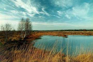 Bissendorfer Moor