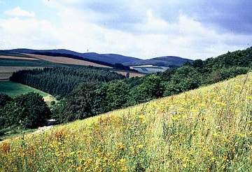 Steinberg bei Wesseln