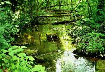 Alter Schlosspark Wrisbergholzen