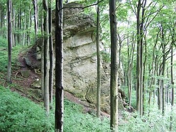 Klippe bei Lüerdissen