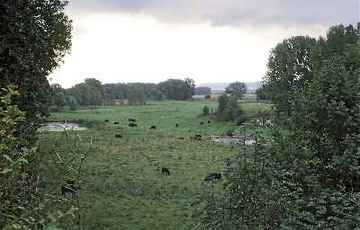 Leineaue unter dem Rammelsberg