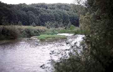 Leineaue unter dem Rammelsberg