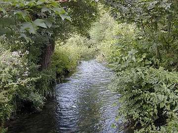 Bebrbach-Humme-Niederung