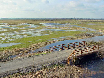 Die Wiesen im Ochsenmoor sind im Winter flach mit Wasser überstaut.