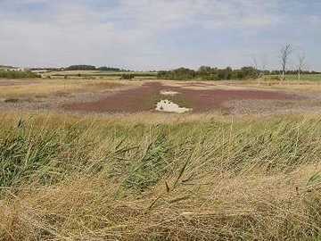 Salzwiese Seckertrift