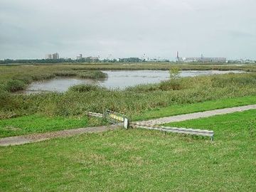 Rechter Nebenarm der Weser