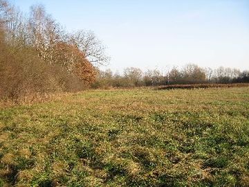 Lüchower Landgrabenniederung