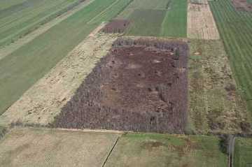 Luftbild der Willes Heide mit naturnahem Hochmoorbereich