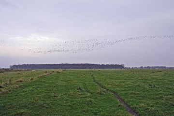 Huntebruch und Huntebruchwiesen