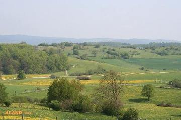 Gipskarstlandschaft Hainholz