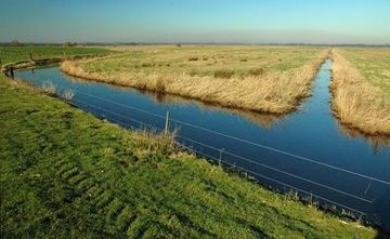 Das Naturschutzgebiet im Winter