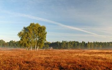 Herbstaspekt des Naturschutzgebietes