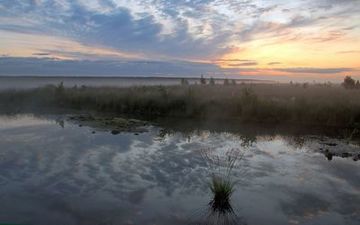 Wiedervernässter Teilbereich der Esterweger Dose