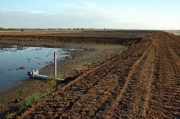 Neu gebauter Polder als Vorstufe zur Wiedervernässung