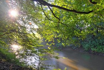 Spätsommermorgen an der Hunte