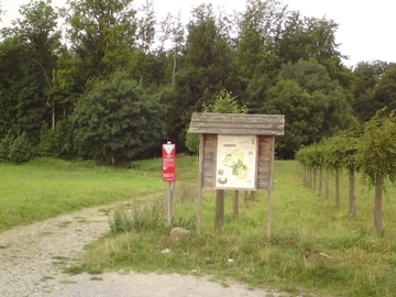 Naturschutzgebiet Gipskarstlandschaft Hainholz